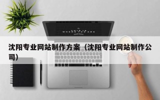 三河沈阳专业网站制作方案（沈阳专业网站制作公司）